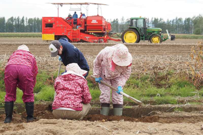 農場の暮らし体験！十勝とやま農場で農作業体験＆農家めしランチ